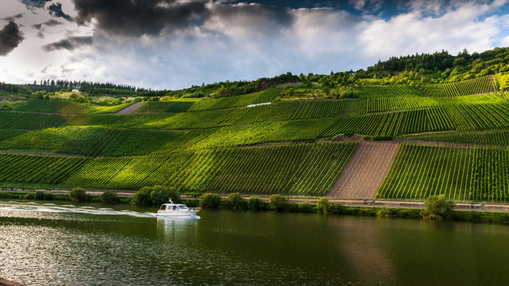 A boat glides along a river beside lush vineyards under dramatic clouds.