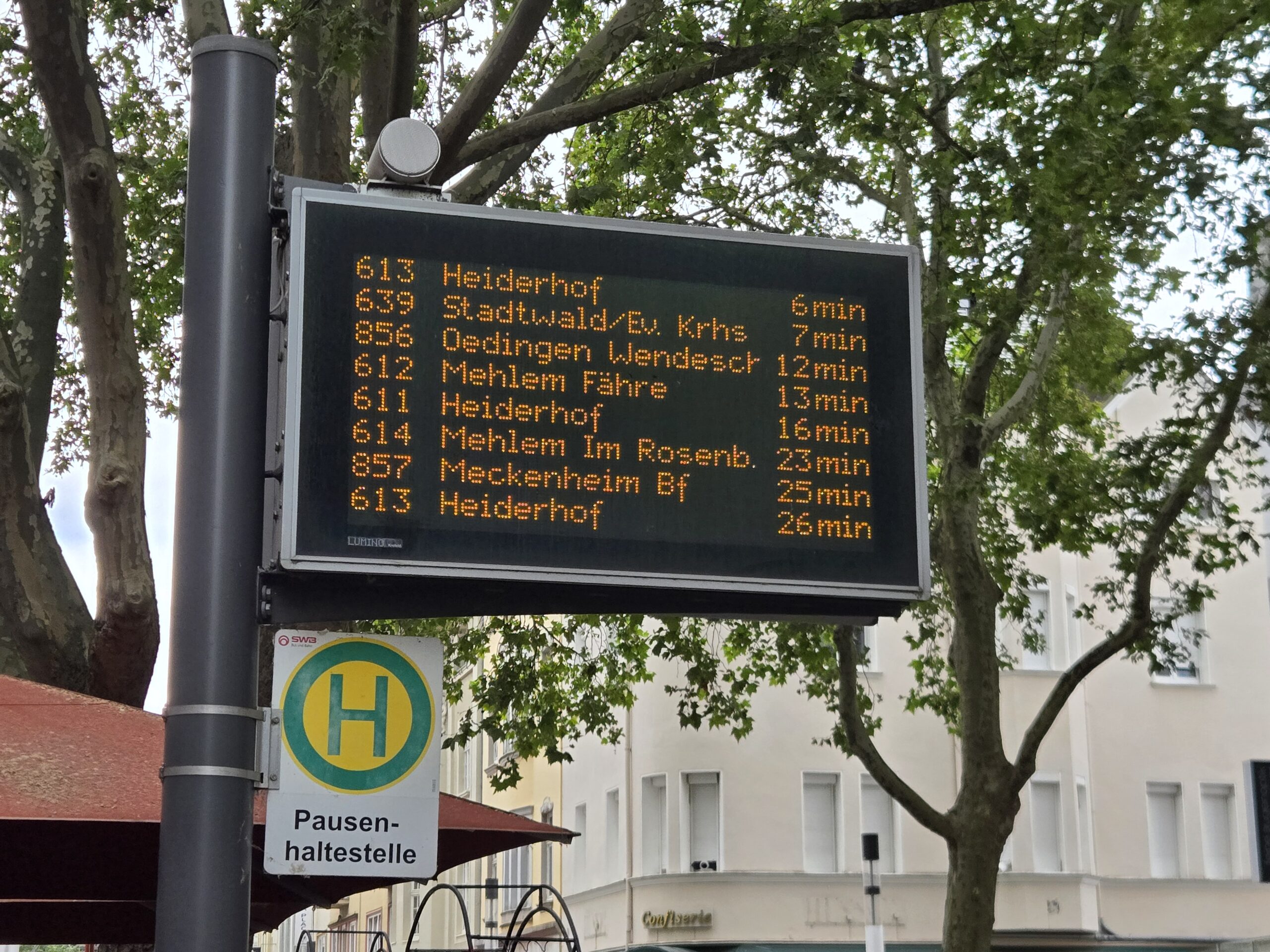 Take Bus 856