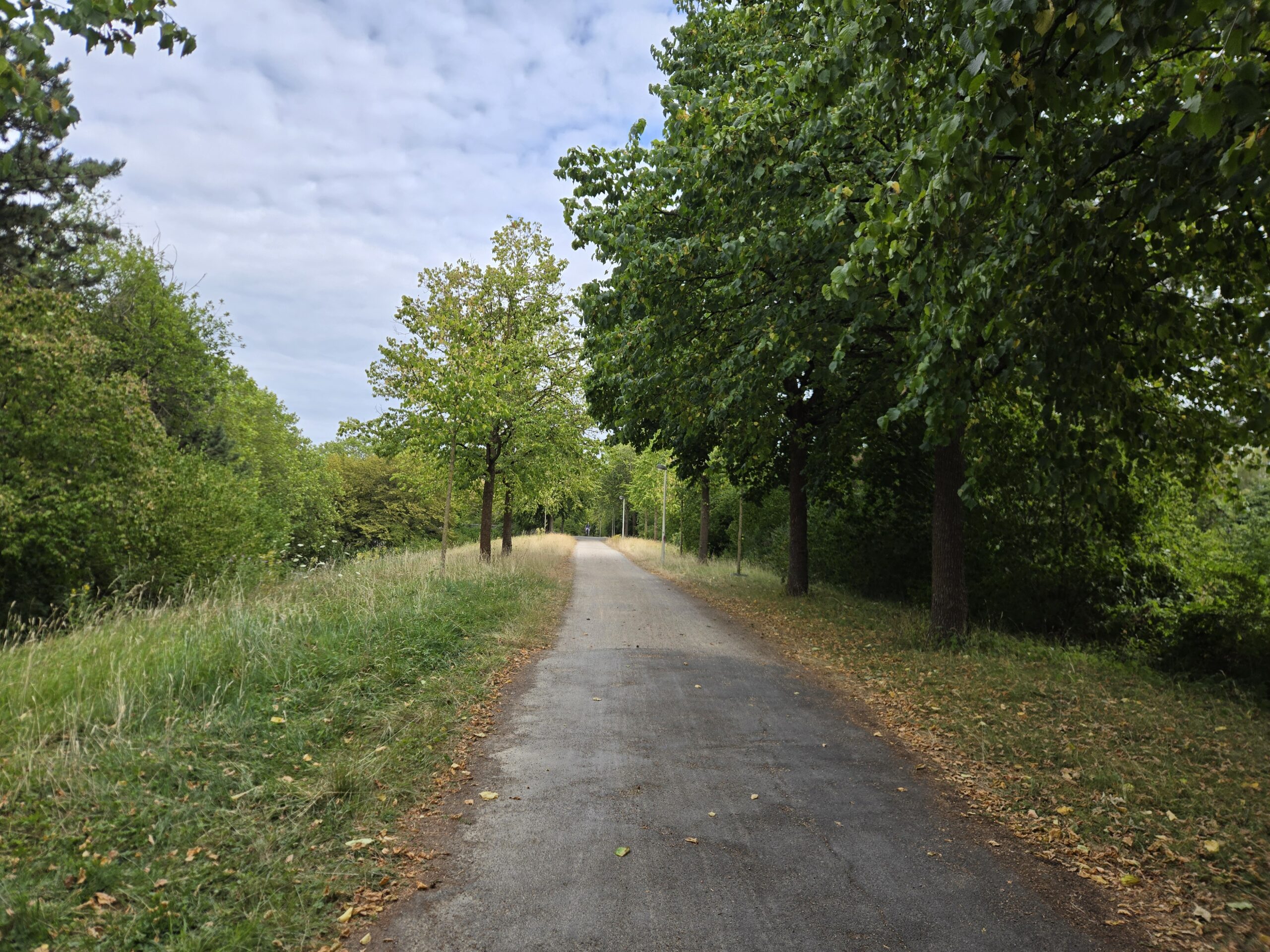 Once on the path, follow the gravel path until you get to a bridge. It will be on your left.